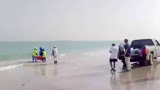 首页- 平博pinnacle888公司官网