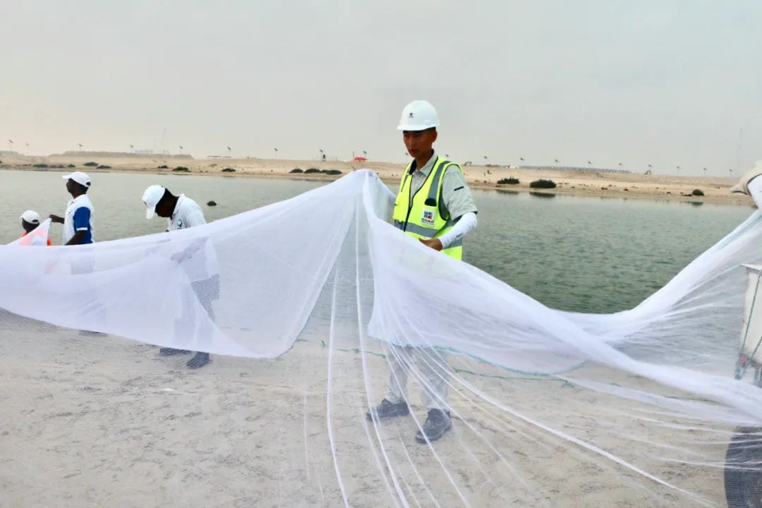 首页- 平博pinnacle888公司官网