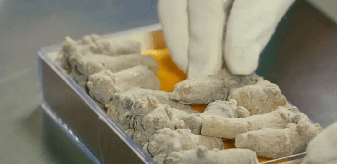 首页- 平博pinnacle888公司官网