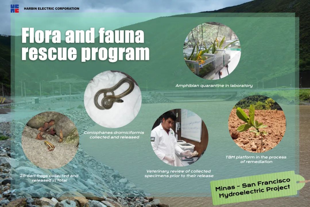 首页- 平博pinnacle888公司官网