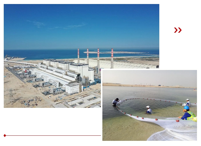 首页- 平博pinnacle888公司官网