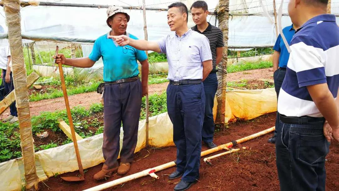 首页- 平博pinnacle888公司官网