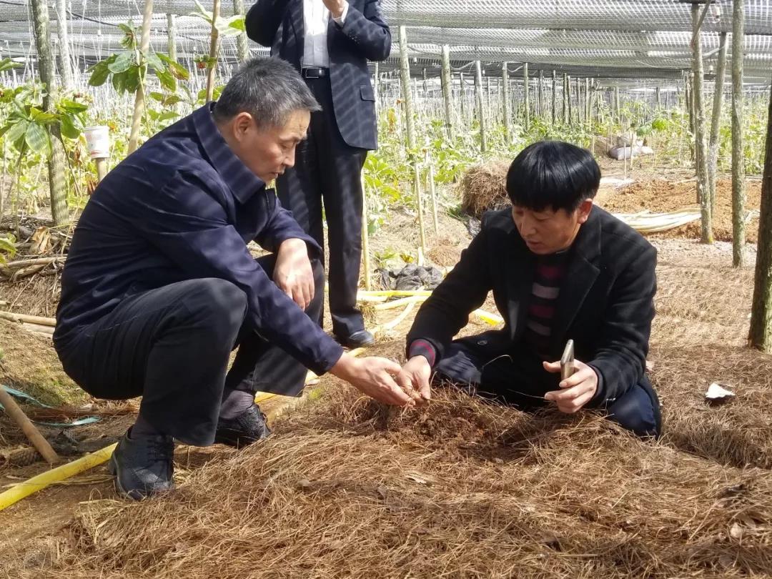 首页- 平博pinnacle888公司官网