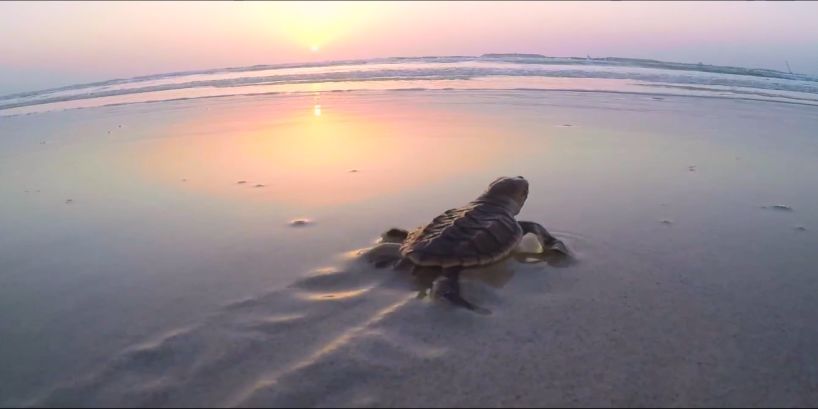 首页- 平博pinnacle888公司官网