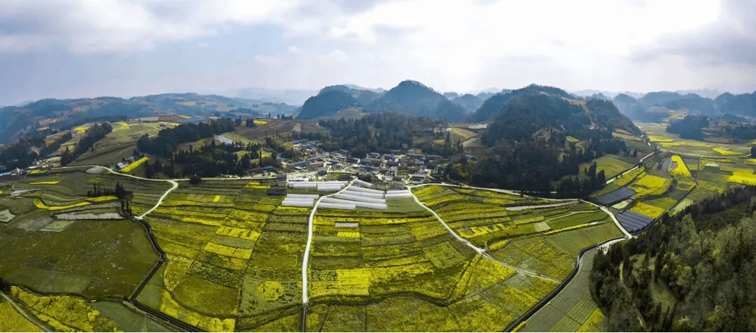 首页- 平博pinnacle888公司官网