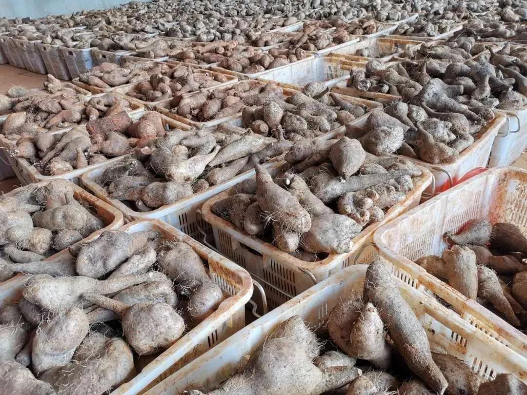 首页- 平博pinnacle888公司官网