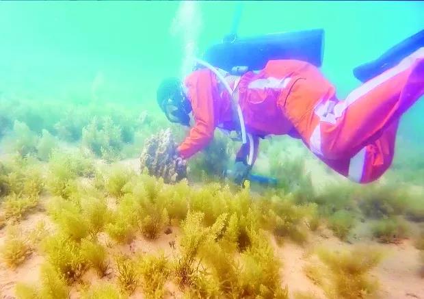 首页- 平博pinnacle888公司官网