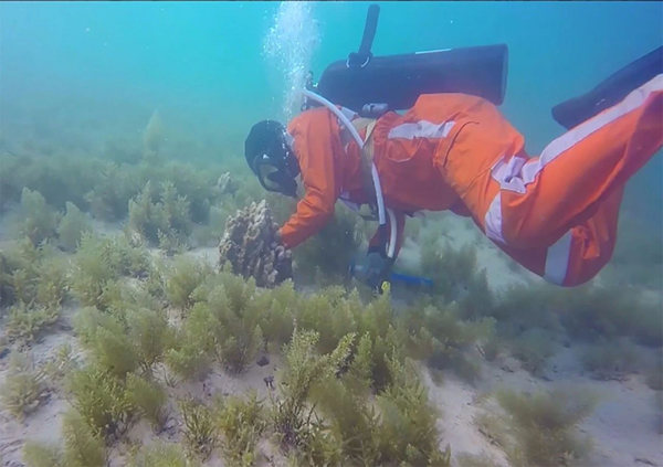 首页- 平博pinnacle888公司官网