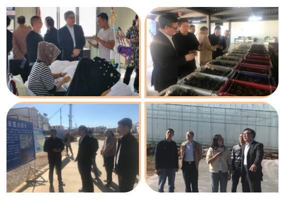 首页- 平博pinnacle888公司官网