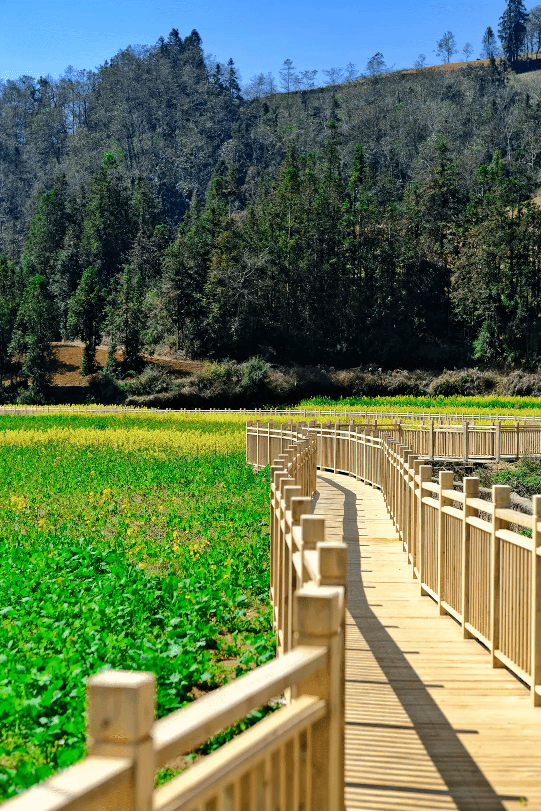 首页- 平博pinnacle888公司官网