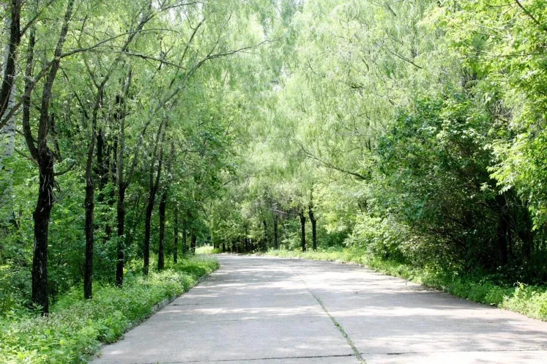 首页- 平博pinnacle888公司官网