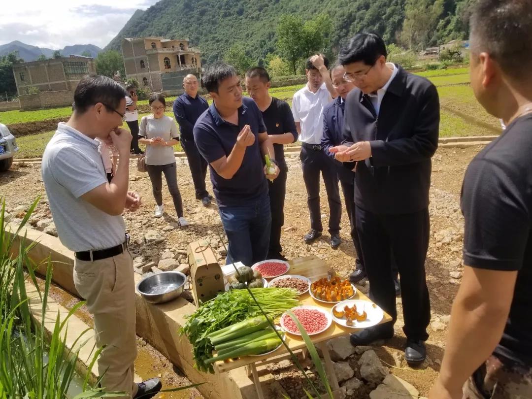 首页- 平博pinnacle888公司官网