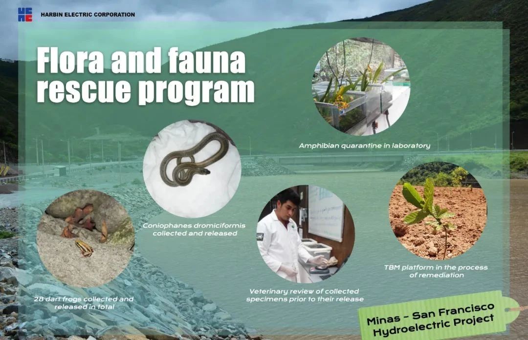 首页- 平博pinnacle888公司官网