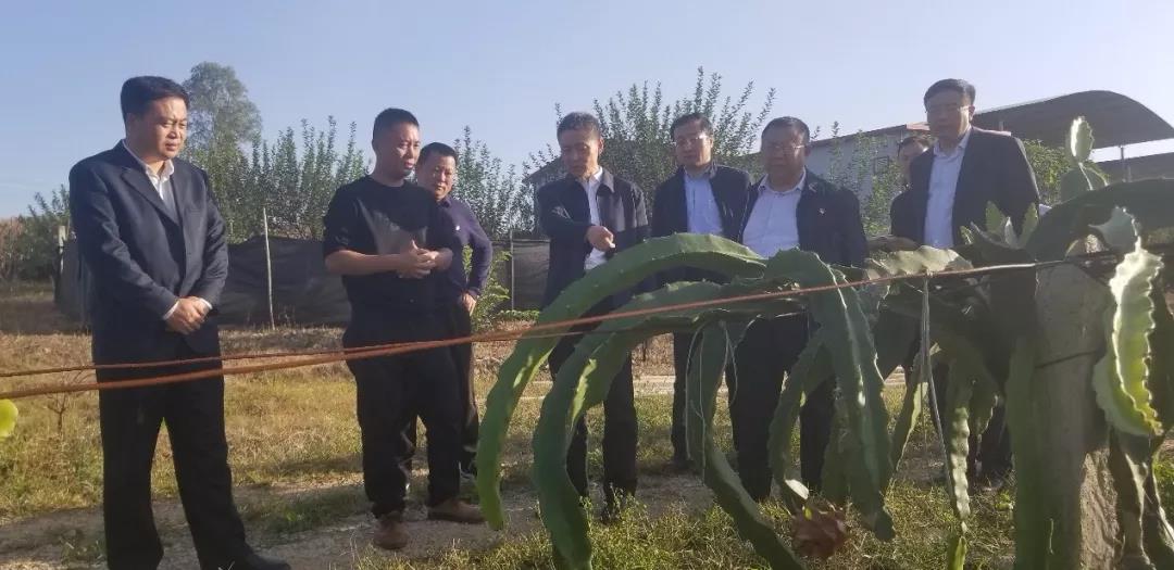 首页- 平博pinnacle888公司官网