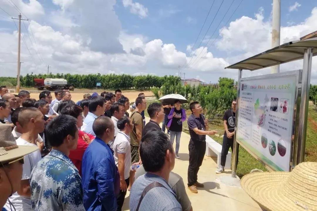 首页- 平博pinnacle888公司官网