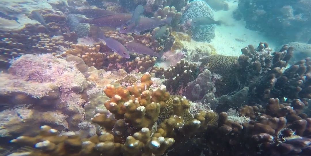 首页- 平博pinnacle888公司官网