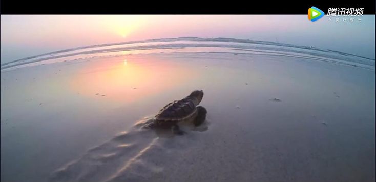 05C72E1A11335EA069B23593BEA_EBE41A29_5900