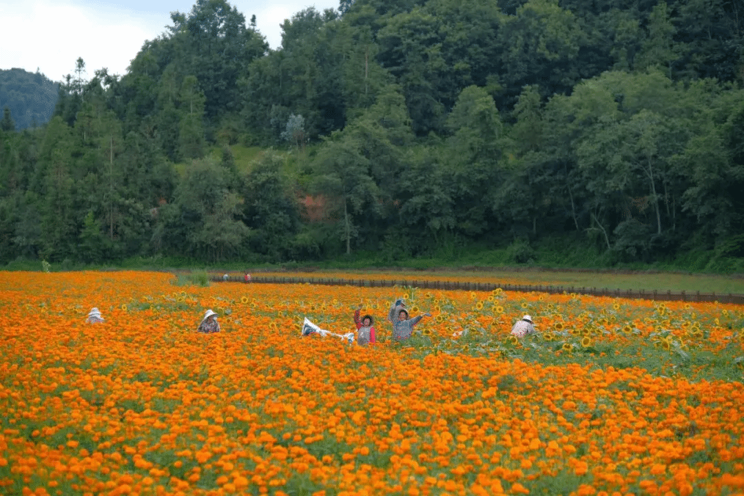 首页- 平博pinnacle888公司官网