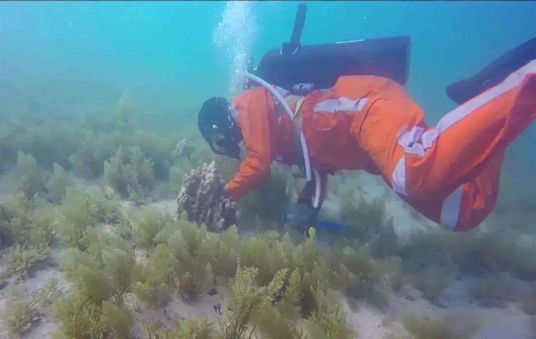 首页- 平博pinnacle888公司官网